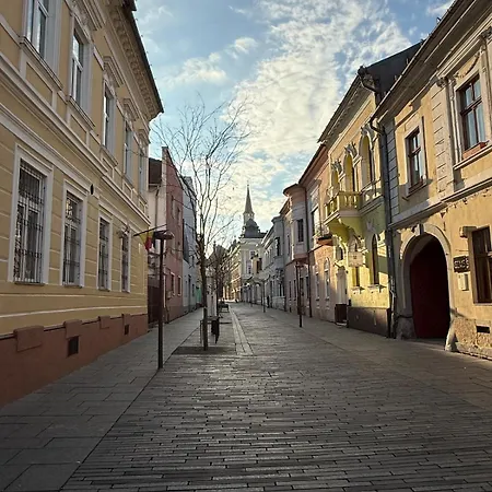 Beautiful Ultracentral * Cluj-Napoca