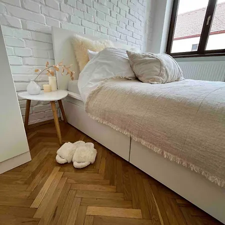 Beautiful Ultracentral Apartment