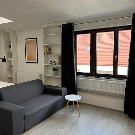 Beautiful Ultracentral Apartment Cluj-Napoca